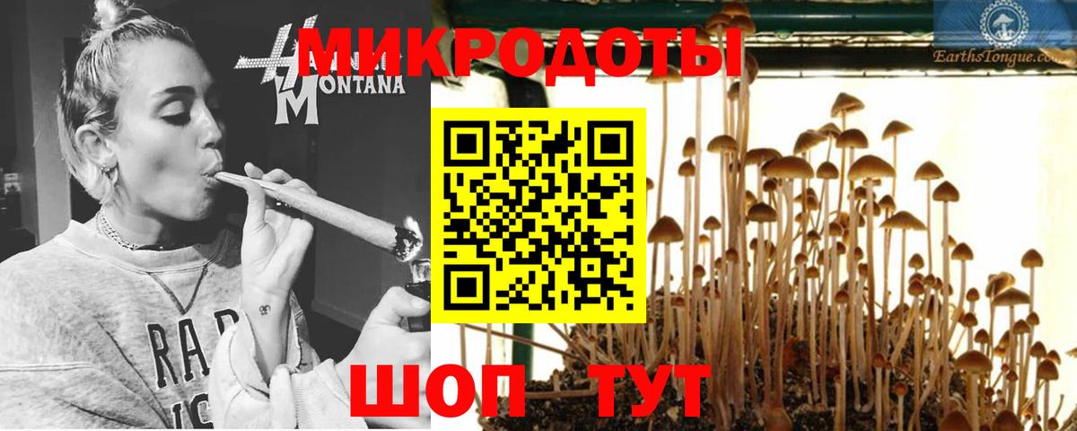 Галлюциногенные грибы GOLDEN TEACHER Уссурийск